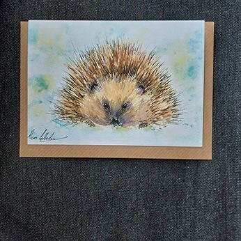 Very Spiky Hedgehog 8
