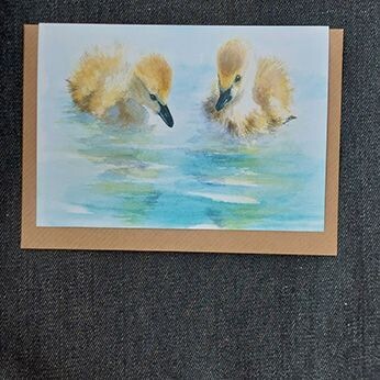 Ducklings    5