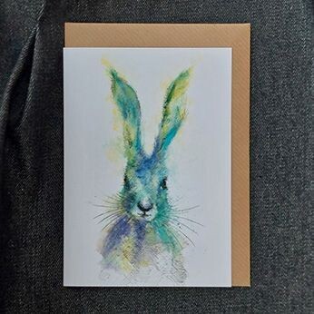 Hare Colour  8