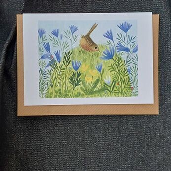 Wren amid the Windflowers  10