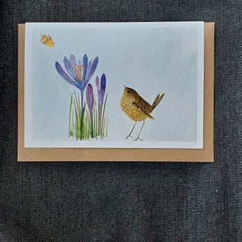 Beeing around a wren  10