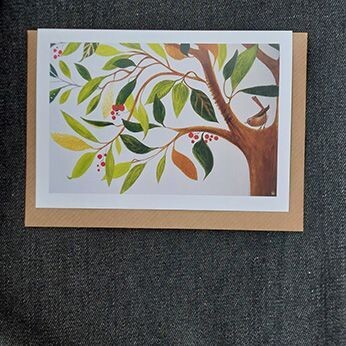 Little Wren in a big Bough 5