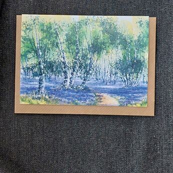 Bluebell Wood    10