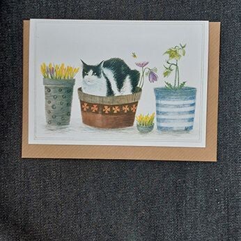 Flower Pot Puss  9