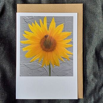 Sunflower and a Bee (New Feb 24. Photograph and design)
