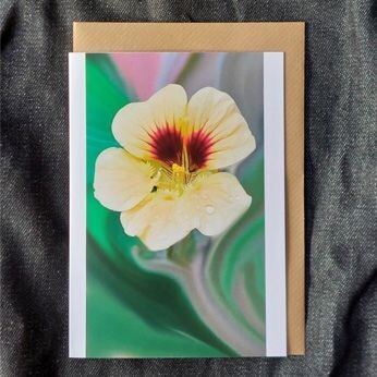 Nasturtium