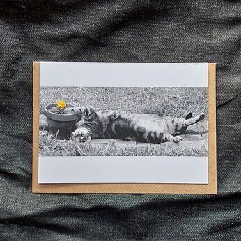 The Gardener  (Photograph) 7
