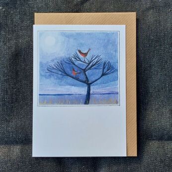 Robin Tree Robin Tree