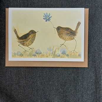 From one wren to another