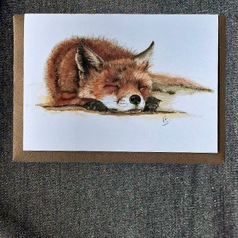 1VE556X Sleeping Fox ( new for 2025)