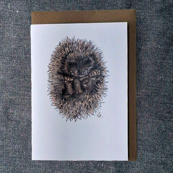 1VE558X Sleeping Hedgehog ( new for 2025)