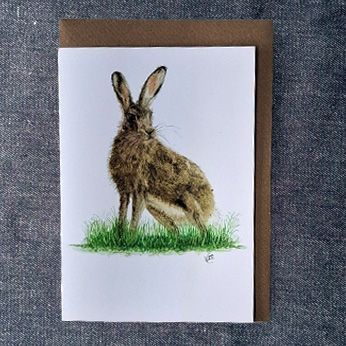 1VE557 A Hare ( new for 2025)