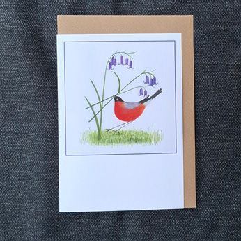 Bullfinch and Bluebells  5