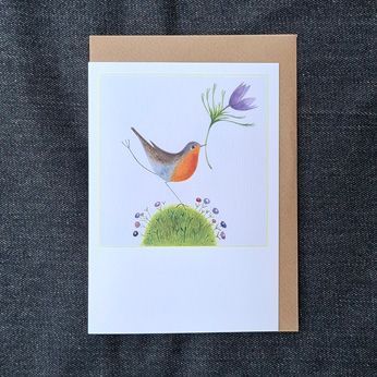 Robin offering a Pasque Flower  8