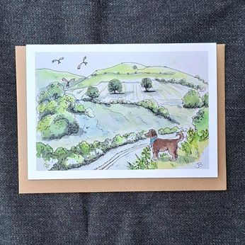 time to stop and stare (New for 2025)