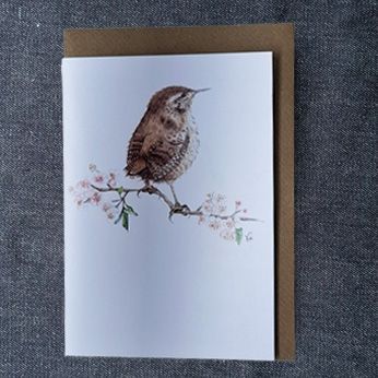 A Wren (New for 2025)