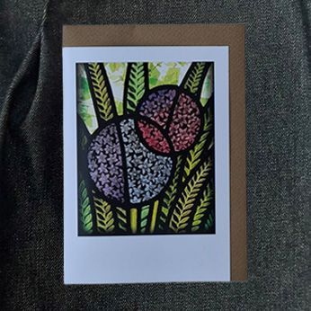 1HR571 Alliums