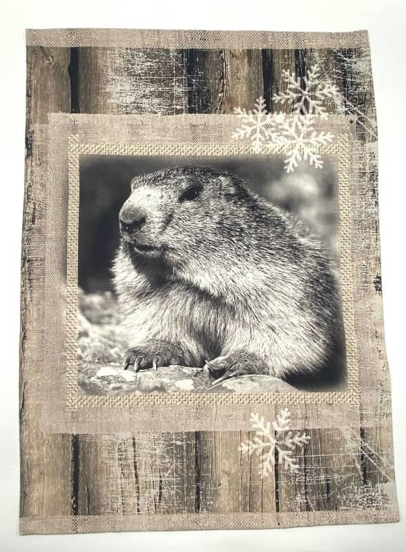 Strofinaccio con Marmotta