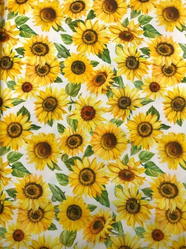 Tovagliette Americane stampa Girasoli