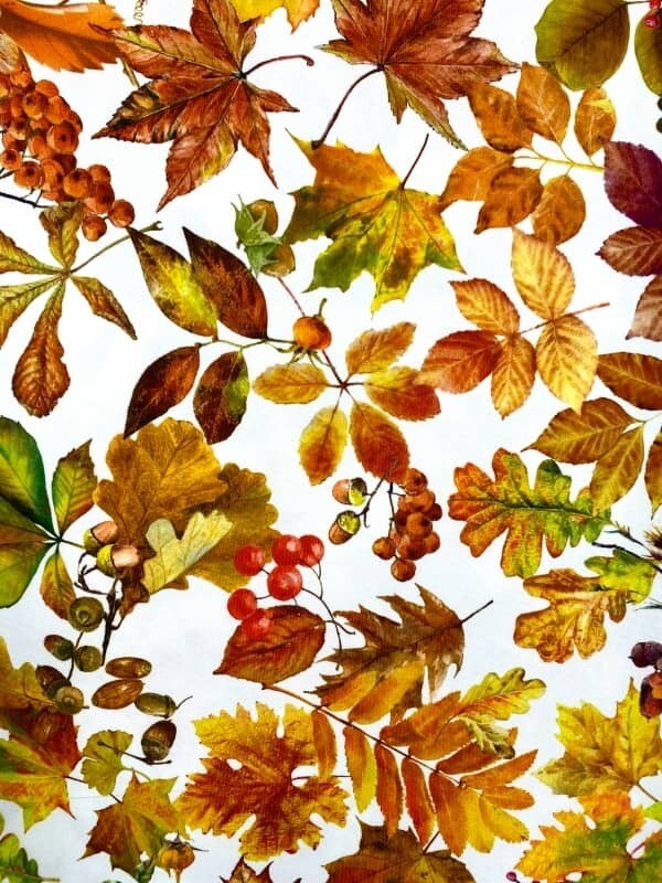 Runner con Foglie Autunnali