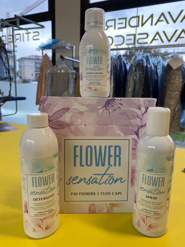 Box Flower Sensation