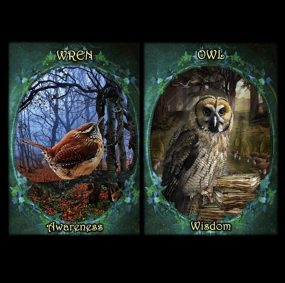 Witches Familiar Oracle Deck