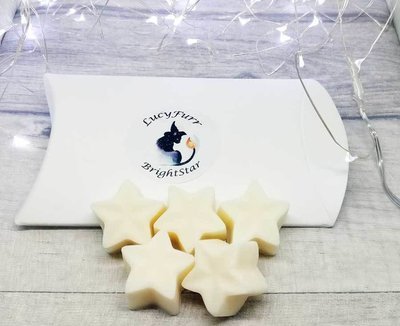Winter Comforts Soy Candle Melts
