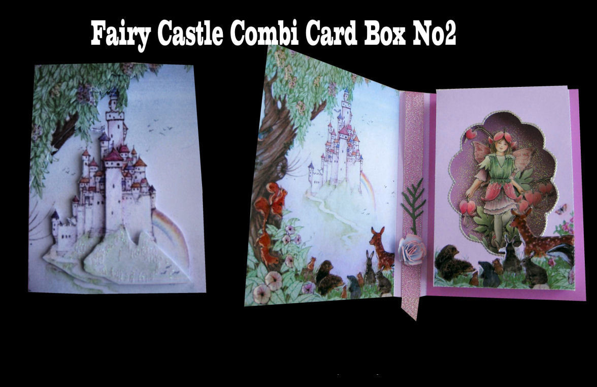Fairy Castle Combi Card and Gift Box * Design No 2