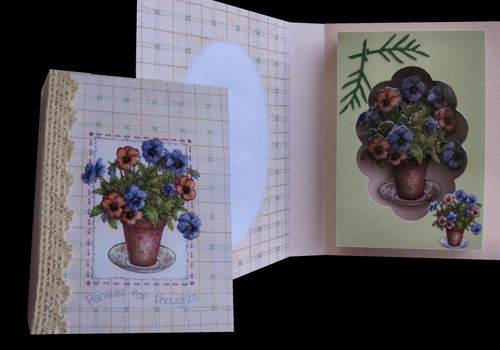 Pansy Pot Combined Card and Gift Box PNC