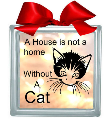 Cat 'House Is Not A Home' Glass Block Tile Design 6x6 inches