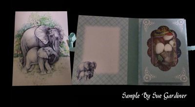 Elephants Combined Card-Box PNC
