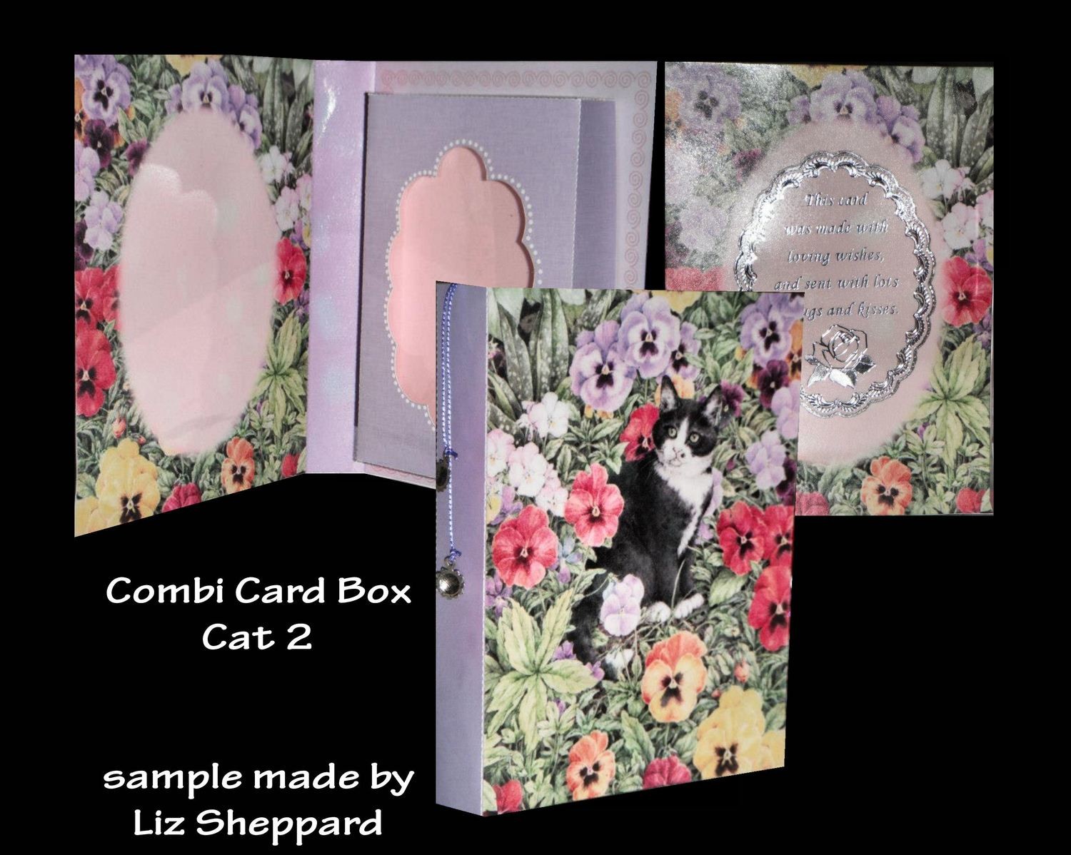 Cat 2 - Combi Card-Box PNC