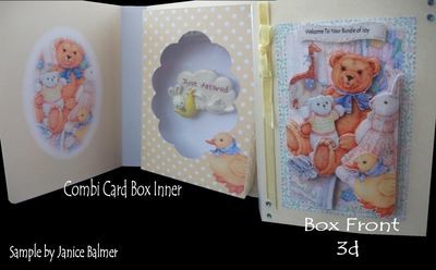 Baby Bear Combi Card Box PNC
