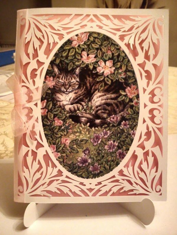 All In One Card, Flourish with Tabby Cat PNC