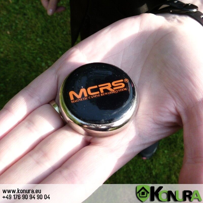 Professioneller starker Magnet K9K4