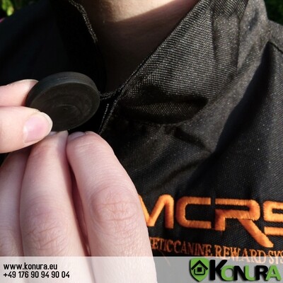 Magnet für Anfänger K9K4
