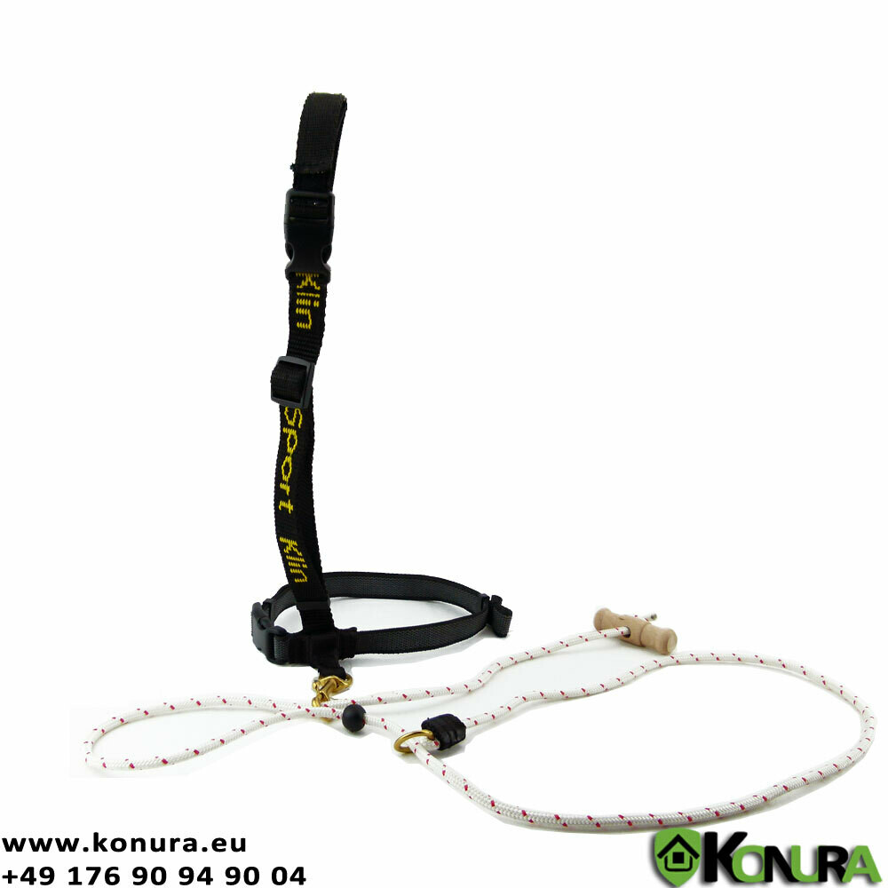 Leine - Halsband 2 in 1 für die Hundeausbildung Klin Kassel