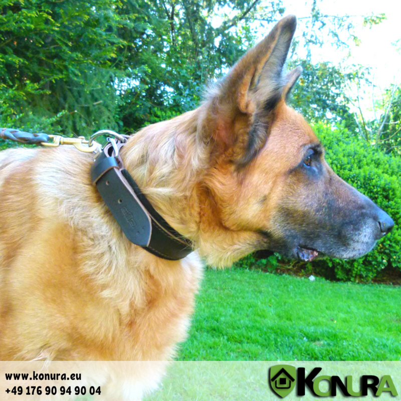Lederhalsband mit Wildlederfutter Klin Kassel