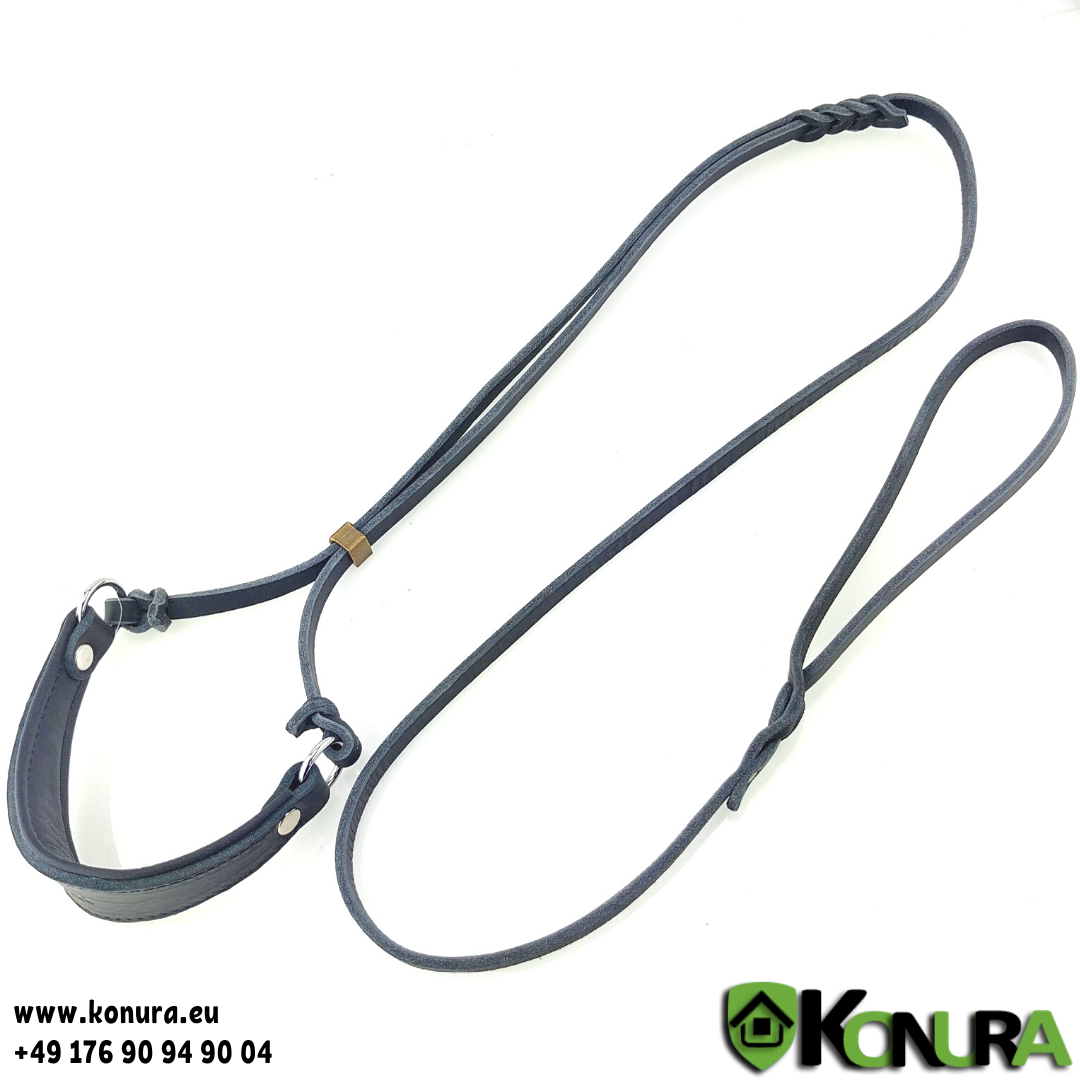 Leder Schauleine mit gepolstertem Halsband ABC Sport Klin