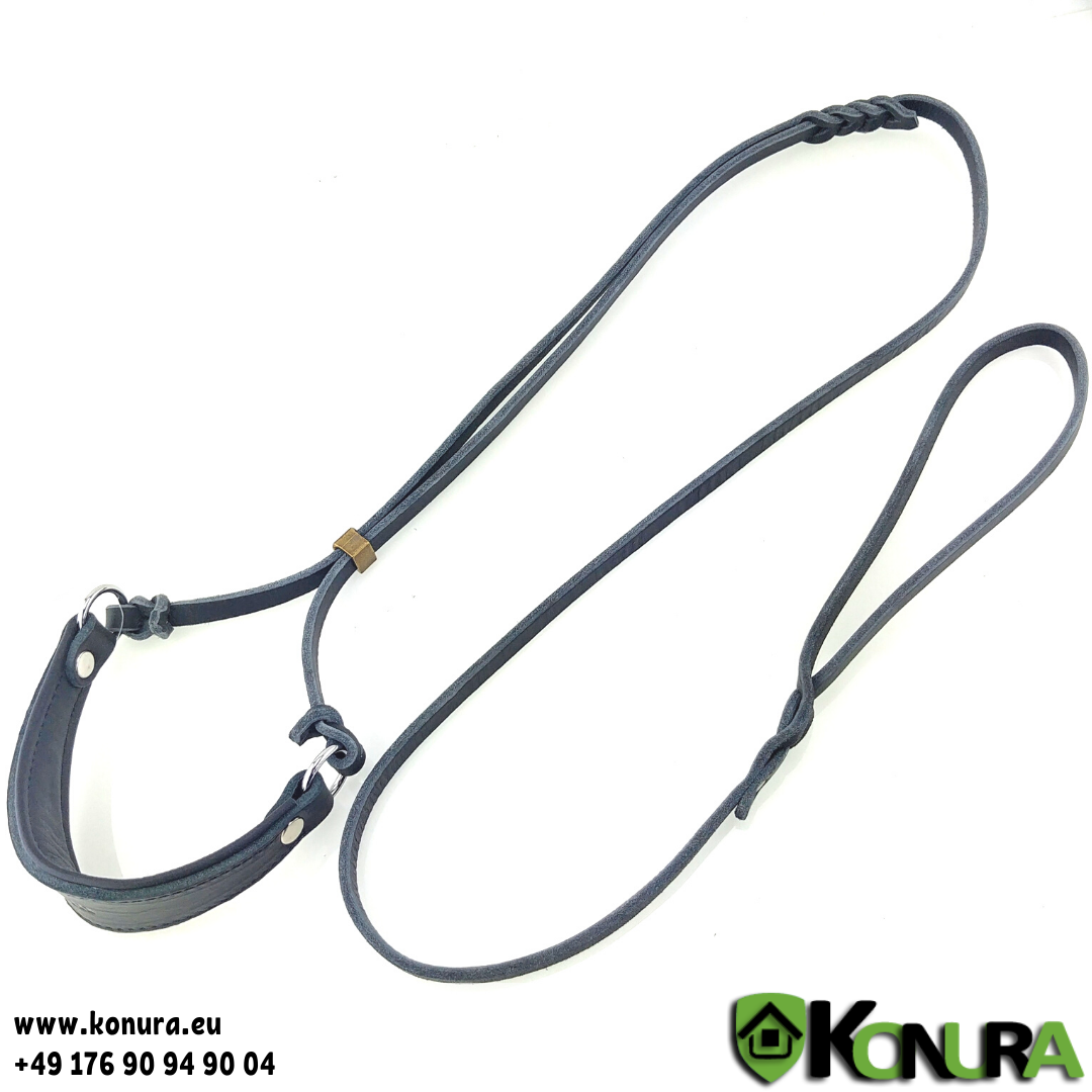 Leather Schow Lead with Padded Collar – ABC Sport KLIN, Farbe: Braun, Länge: 150 cm