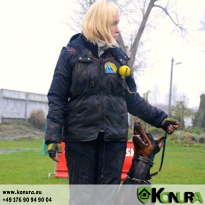 ULTRA-PLUS Collar with Chain &amp; Ring/Swivel – Sprenger