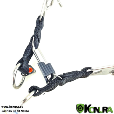 ULTRA-PLUS ClickLock Collar with 2 Rings – Sprenger