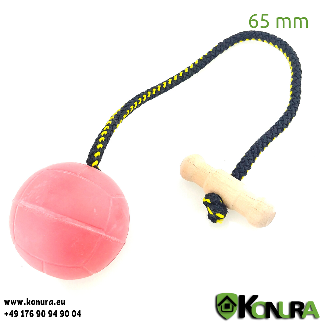 Lenwen 10er Pack Hundespielzeug-Bälle – Federnd, Schwimmend, Für Aggressive Kauer, 6,3 Cm Durchmesser