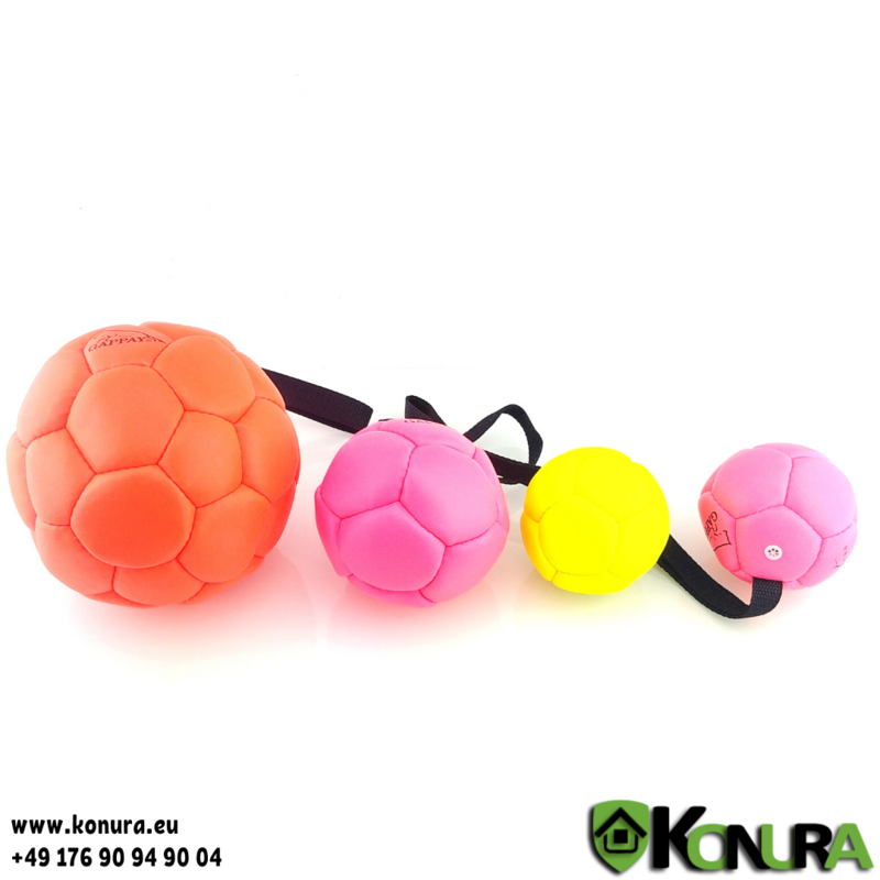 Trainingsbälle aus Kunstleder Gappay