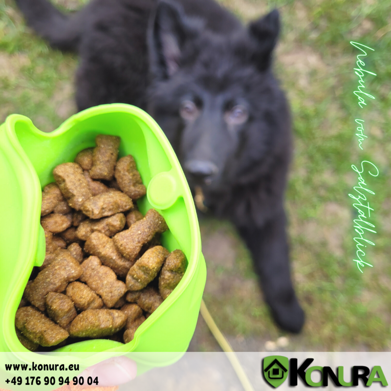 Silikon Snackbeutel DIGGAR®