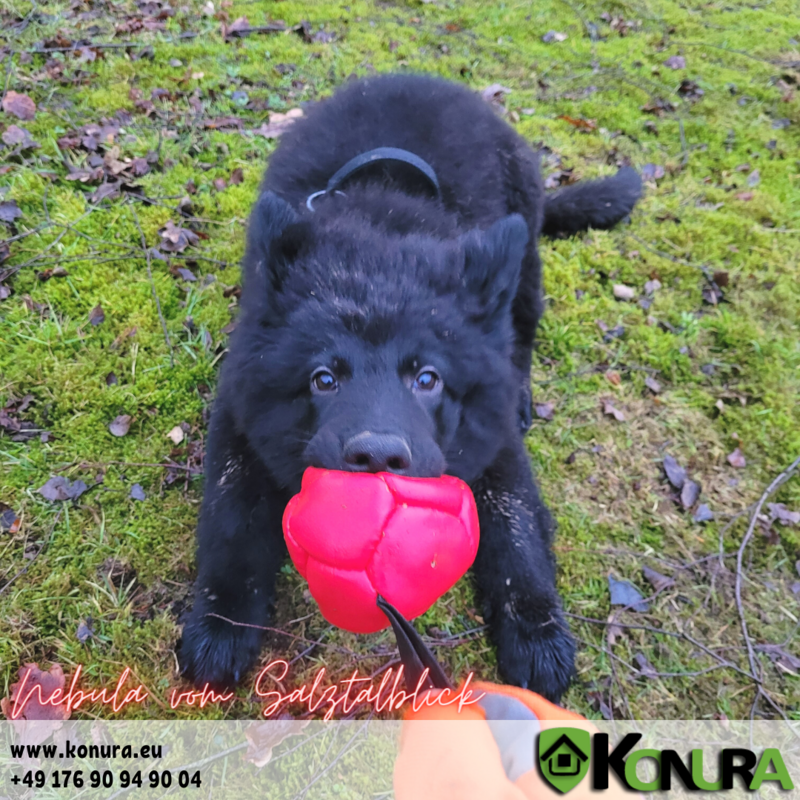 Trainingsbälle aus Kunstleder Klin Kassel