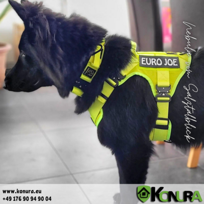 Halsband Tactical mit Griff und spezielle Schnalle EuroJoe
