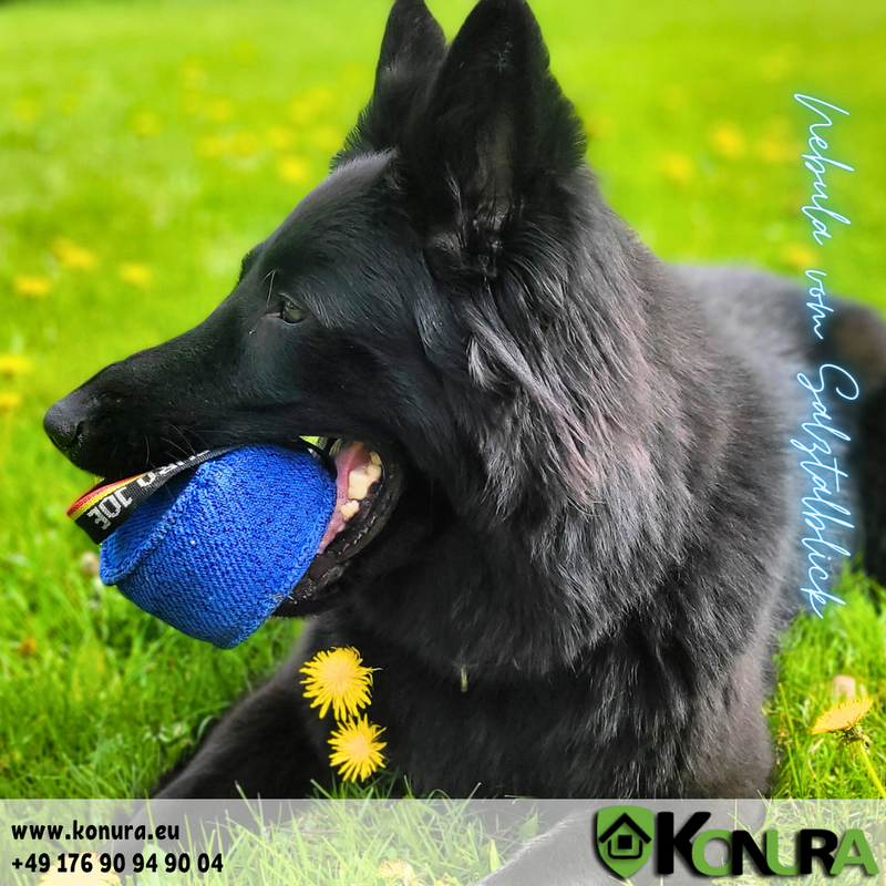 Кусалки Silly Dog круглого сечения из специальной ткани EuroJoe