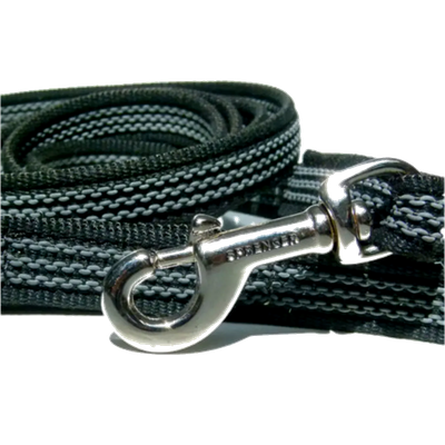 Rubberized leashes