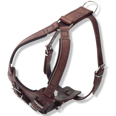 Harnesses